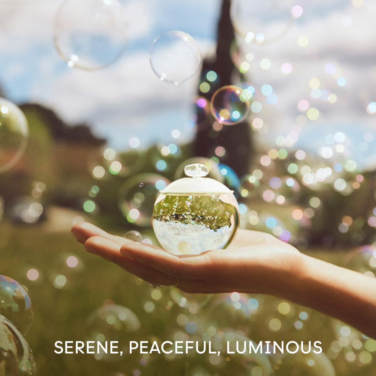 V2H6FBDBE742E17AFA4A121CCC32D72D2D2R7576811P6