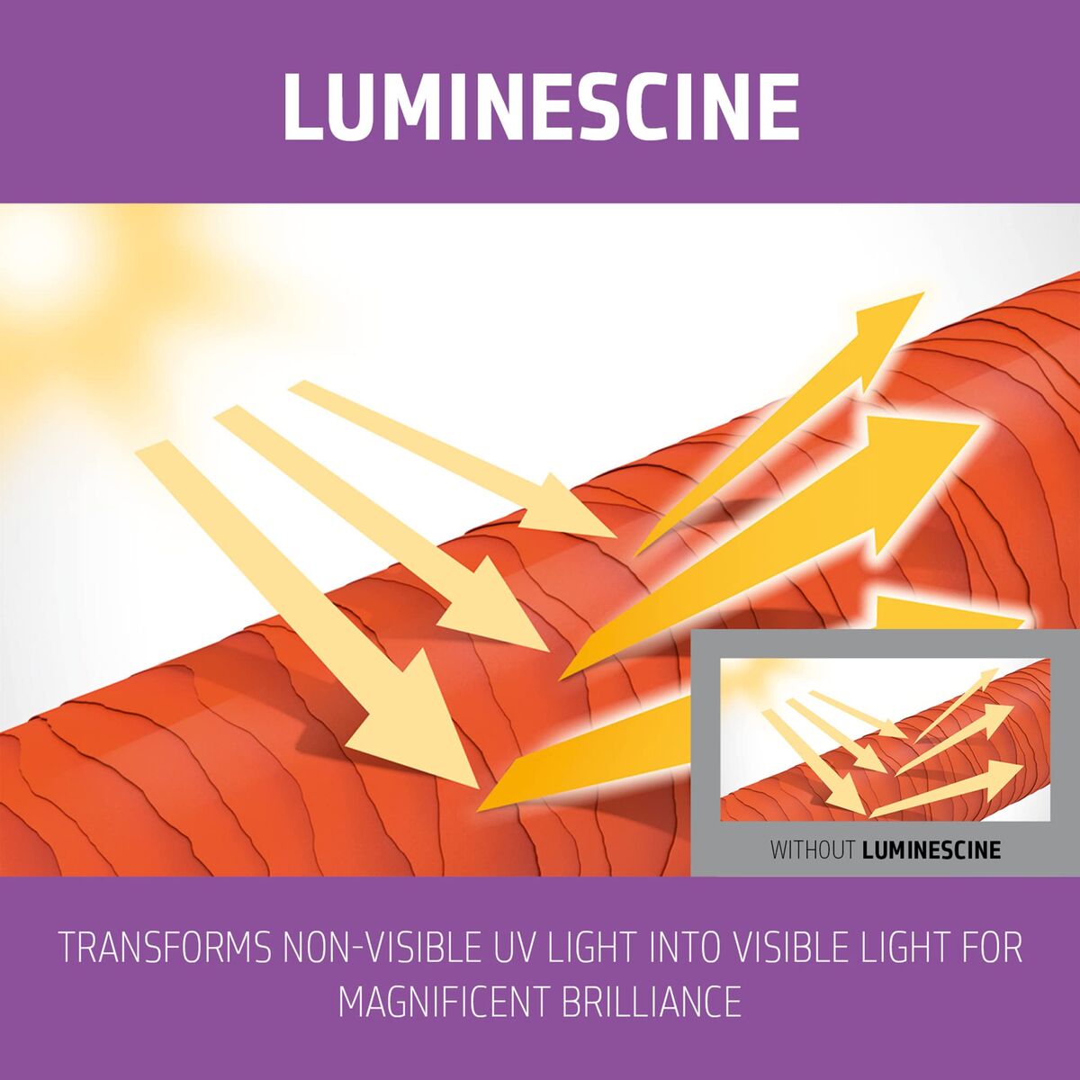 V2H6EBEF1428949F79FD655C1EDAAC69E95R7507218P3