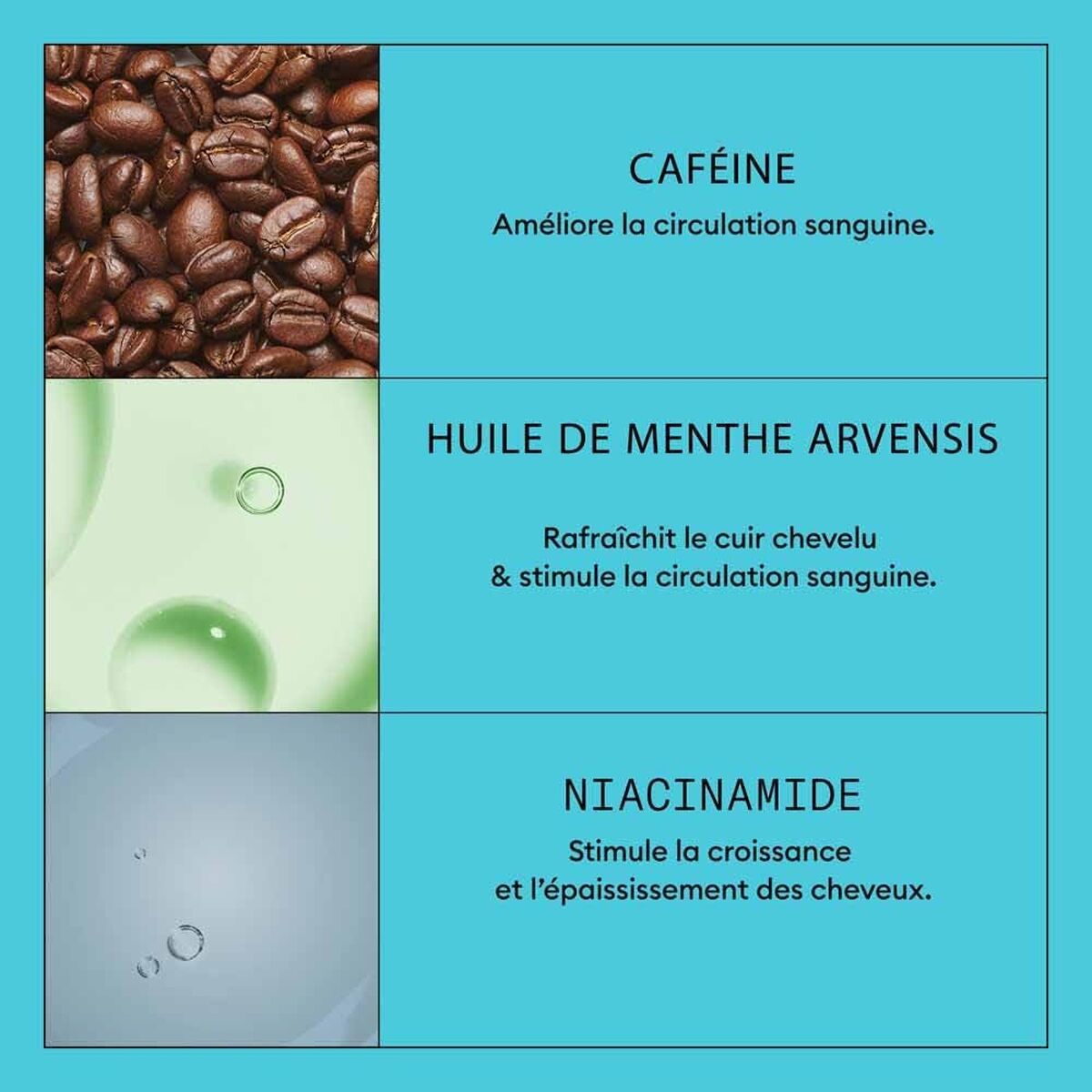 V3HA38EB630028F9189646F0C33A2B63052R7512297P4