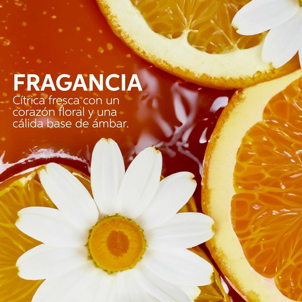 V3H3B6ADC94E251F0C6608265FA16BD5EA9R5607805P10