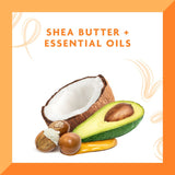 V4HAC9DE02698CADDB2CA2EC0598FB31525R7494701P7