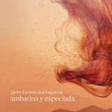 V3H3E96E67B7021DCAE836E6E877317C245R7407116P3