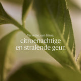 V2H12E7A4B2C5EB254C6CE10CCDE87EA0E5R7708031P3