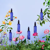 V2HBA22706EBF7E9B06E89532D3F2911F1CR6987267P6