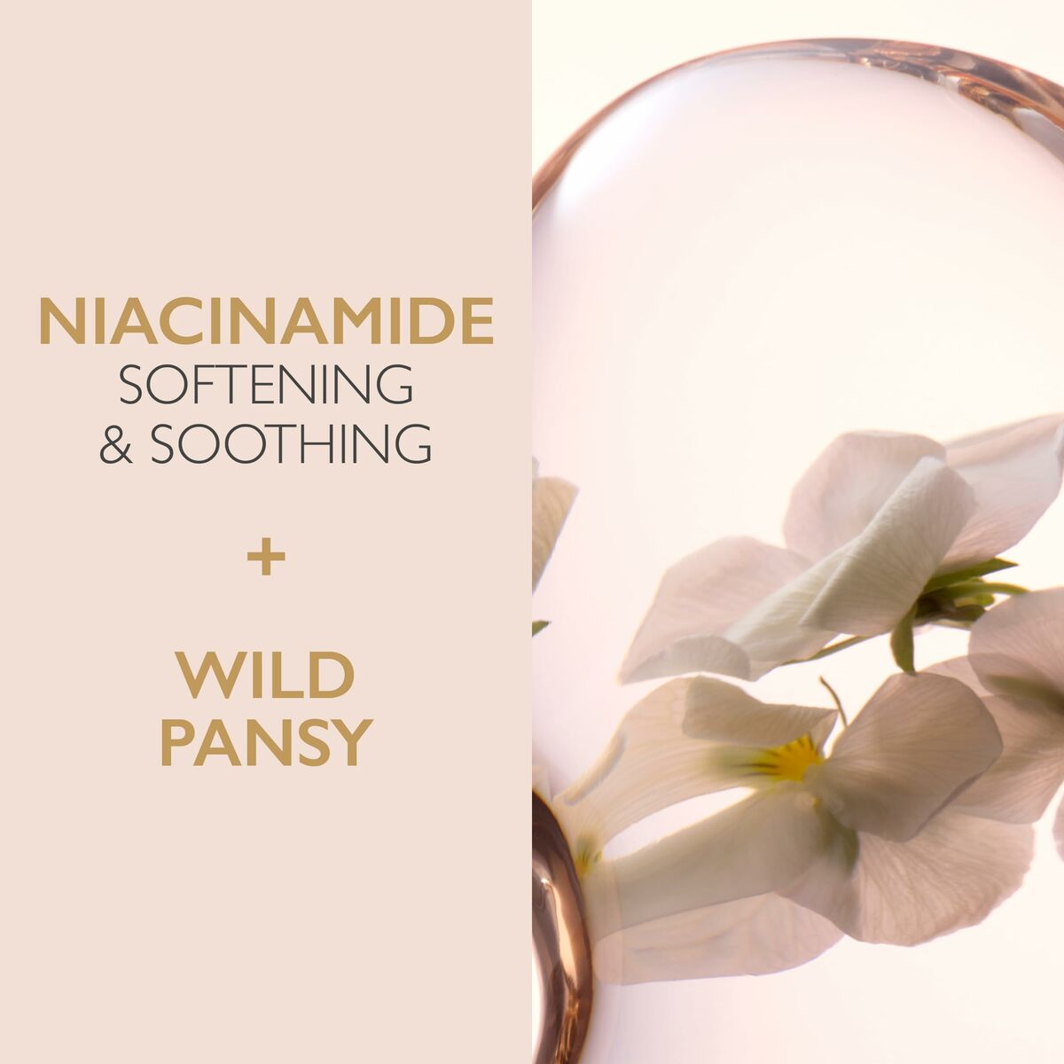 V4H8F5F9E398DD675D7F1DA75A80AD9FD29R6237971P2