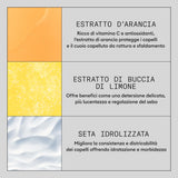 V2H1A2C20F5EE7E28A77724C95BCEF10E89R7512361P6