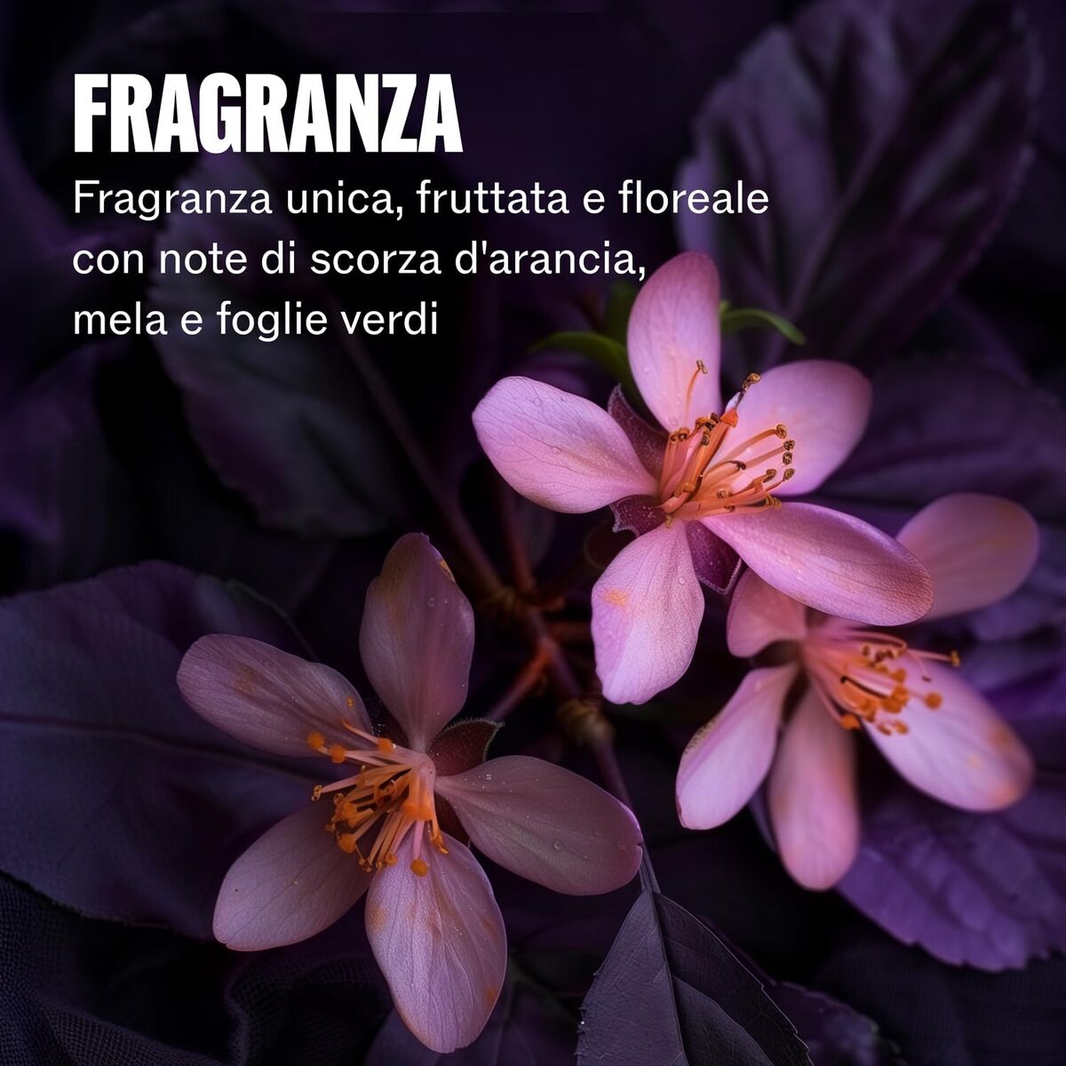 V2H9A8A936DE8D3F29B519E47EFD4DD79F5R7649604P10