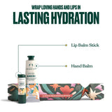 V3H230F879E3F5166EA7EAE00FDC5DFB935R7533399P2