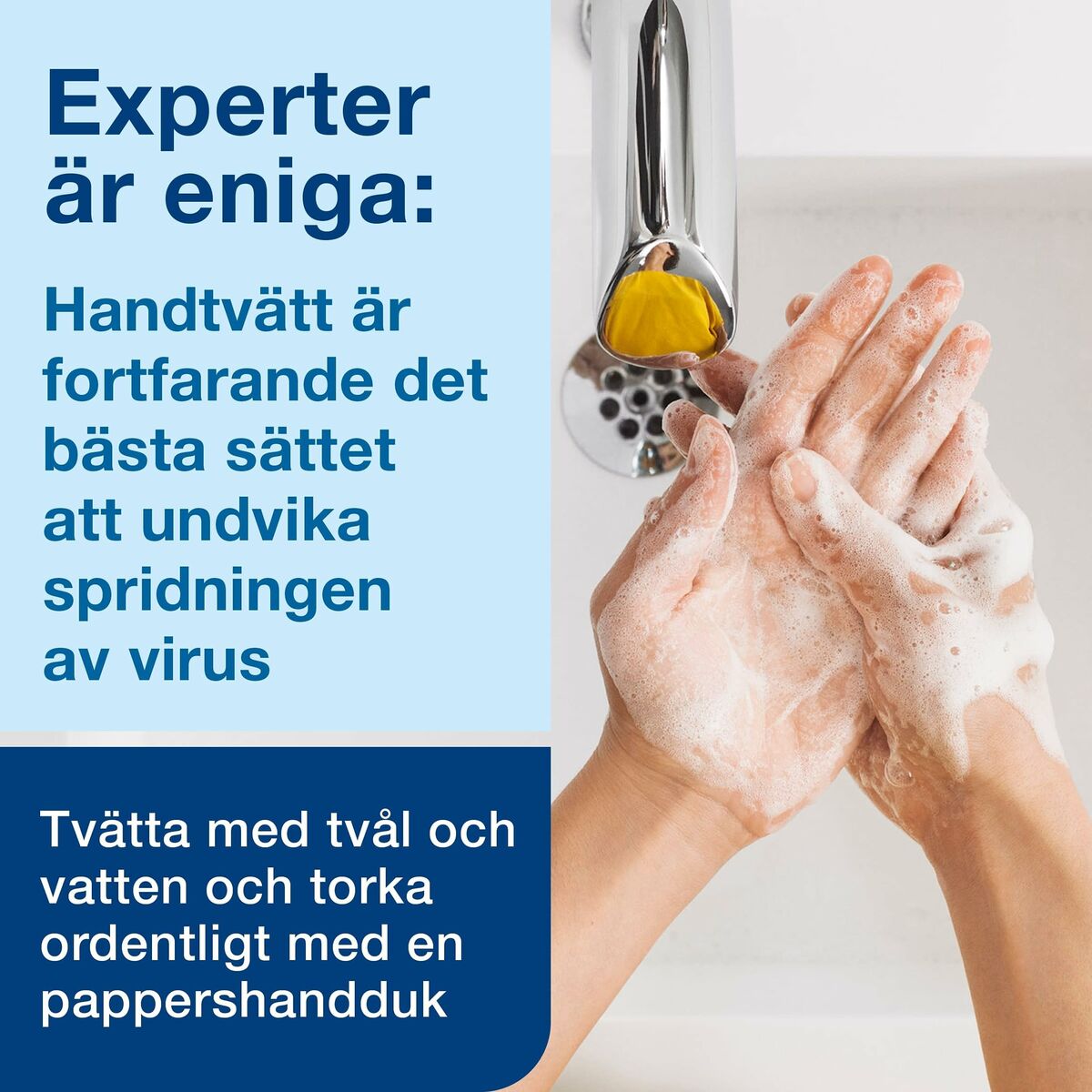 V4H4FC4CA0053A10B5923F61137AEE8E4F1R6969077P10