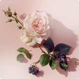 V3HB355700360CC11AA4C8BD788E36A960FR6970217P6