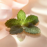 V2H2C993A3384069C310B914C377D9517F4R7706345P3