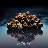 V2H19EBD27E7B1CFB2512B90F2255DB32F5R7404078P5