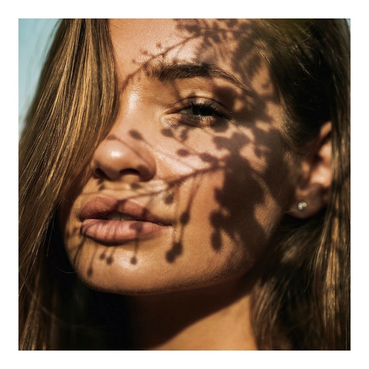 V4H83C70D278C121E6FD815F2EDF76952E6R4443954P3